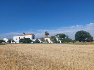 un prato di erba secca con una casa sullo sfondo di Cortijo Las Cruces Guillena - Sevilla a Guillena