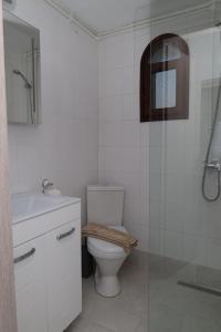 a bathroom with a toilet and a glass shower at Molon Lave in Nea Roda +22 photos