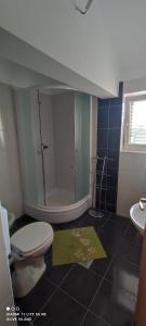 a bathroom with a toilet and a sink at Villa Olive Island in Neviđane