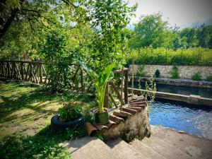 Zahrada ubytování Hotel Okatsia სასტუმრო ოკაცია