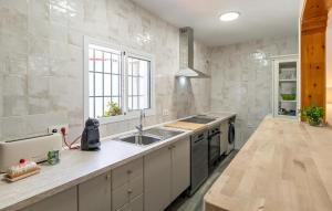 une cuisine avec un évier et un plan de travail dans l'établissement Cozy Home In Villanueva Del Río Y M, à Villanueva del Río y Minas