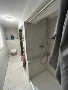 a bathroom with a shower and a toilet at Appartement Rothenburg in Rothenburg ob der Tauber +14 photos