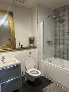 a bathroom with a toilet and a sink and a shower at Spacious Leicester Apt with Free Parking, Sleeps 6 in Leicester