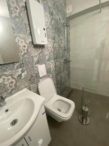 een kleine badkamer met een wastafel en een toilet bij Apartments Mosha in Ohrid