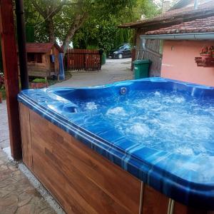 un jacuzzi en el patio trasero en Tera Nova, en Vrdnik