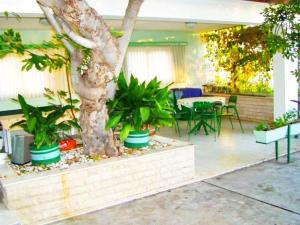 Vonkajšia záhrada v ubytovaní Beach House - Apartments Ana