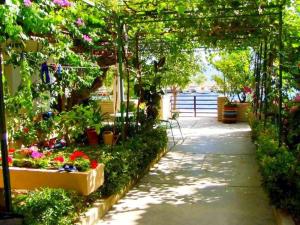 Vonkajšia záhrada v ubytovaní Beach House - Apartments Ana