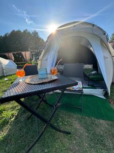 RybnoPole namiotowe Rumiana Dolina的相册照片