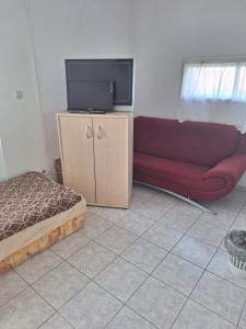 TV a/nebo společenská místnost v ubytování Családi Apartman Badacsonytomaj