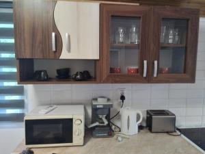 Η κουζίνα ή μικρή κουζίνα στο Violett Apartman Miskolctapolca