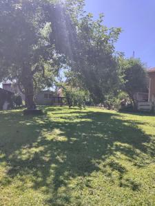 Zahrada ubytování Ferienwohnung Haus Poppis