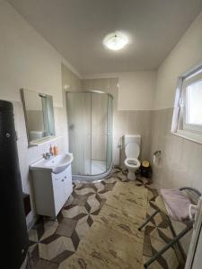 a bathroom with a shower and a sink and a toilet at Casa familiala de vacanta in Bogdan Vodă