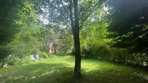 Κήπος έξω από το Meliha's Crib in Brezovica