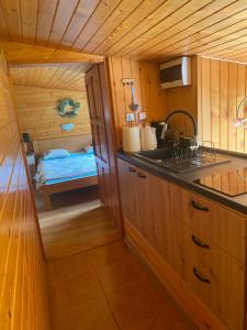 a kitchen with a sink and a stove in a cabin at Apartmán Drievko in Terchová