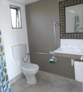 Opua Boutique Seaview Motel في Opua: حمام مع مرحاض ومغسلة ومرآة