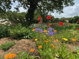 a garden with colorful flowers and a tree at Le Moulin des hirondelles in Pluvigner