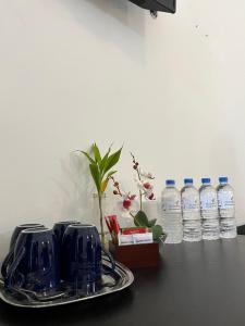 Fotografie z fotogalerie ubytování Hotel Blue Bird v Negombu