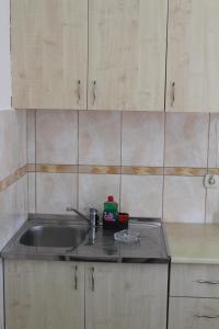 Kuchyň nebo kuchyňský kout v ubytování Apartments Luana