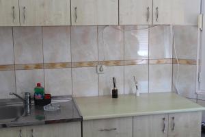Kuchyň nebo kuchyňský kout v ubytování Apartments Luana + 13 fotografií