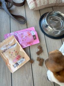 a package of hot cookies and a box of candy at Apartamentos Líbere Valencia Jardín Botánico in Valencia