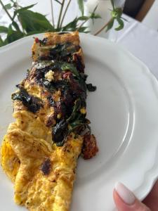 Afbeelding uit fotogalerij van Villa Noce i Dnie in Radziechowy +102 foto's