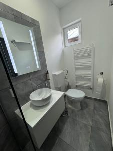 a bathroom with a white sink and a toilet at Cazare Tecuci Relax House in Tecuci +1 photo
