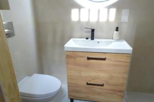 un bagno con lavandino e WC di Sielski Domek Ręboszewo 94 a Ręboszewo Altre 37 foto