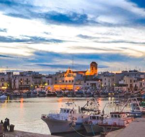 a group of boats are docked in a harbor at Stanza matrimoniale bagno privato in Mola di Bari