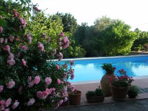 Der Swimmingpool an oder in der Nähe von L'Oasi di Aaron