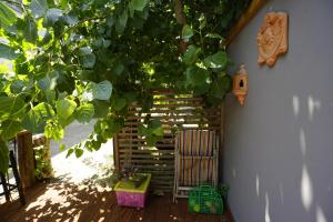 Zahrada ubytování PODERE Sant'ANNA B&B - Chalet tra le vigne