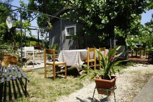Zahrada ubytování PODERE Sant'ANNA B&B - Chalet tra le vigne