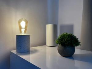 Imagine din galeria proprietății Vila luminoasa cu curte privată în București