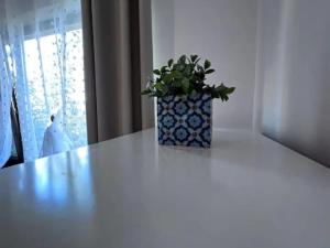 Imagine din galeria proprietății Vila luminoasa cu curte privată în București
