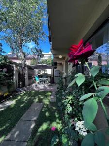 O grădină în afara Vila luminoasa cu curte privată
