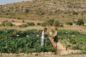 two women standing in a field of crops at Dimora delle Balze in Noto