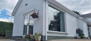 a white house with a window with a flower pot on it at The View Randalstown in Randalstown