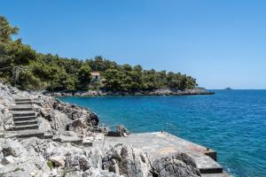 a house on the shore of a body of water at Apartments dida Ante in Blato