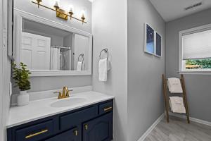 a bathroom with a sink and a mirror at Blue Wing Bay in Mooresville +41 photos
