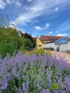 a field of purple flowers in front of a building at Relais du Dompeter in Molsheim