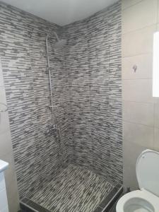 a bathroom with a shower and a toilet at Ομορφο νεο στουντιο στην πολη της Ιτεας in Itea +5 photos