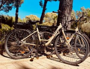 a bike parked next to a tree on a sidewalk at Les Maisons Du Sud in Saint-Tropez