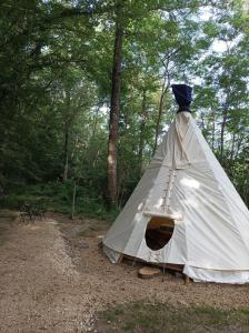 a tent in the middle of the woods at Au Chat qui Pêche in Thenay