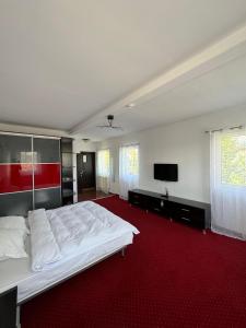 a large bedroom with a white bed and a flat screen tv at Nature View Villa in Podu Cheii