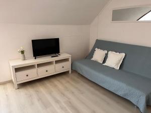 Televízia a/alebo spoločenská miestnosť v ubytovaní Pacsirta Apartman Grand
