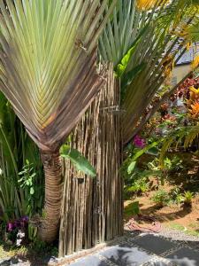 Afbeelding uit fotogalerij van Maison de Jardin Villa in Victoria