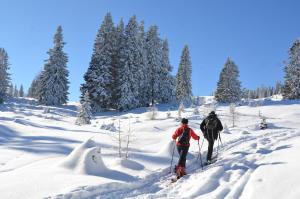 two people cross country skiing in the snow at Naturoase Appartements Mirnock in Afritz
