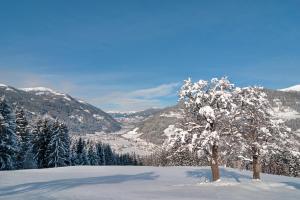 a snow covered tree on top of a snow covered mountain at Naturoase Appartements Mirnock in Afritz