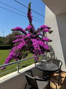 a table and chairs on a balcony with purple flowers at Sunrise house apartments in Ulcinj