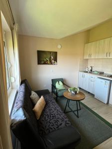 a living room with a couch and a table at Sunrise house apartments in Ulcinj