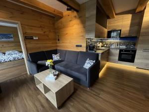 Кухня или мини-кухня в Apartment Špindlerův Mlýn 61 by Interhome

